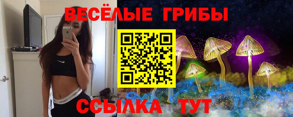 Псилоцибиновые грибы Psilocybe  Псилоцибиновые грибы GOLDEN TEACHER  Ефремов  Вход с VPN 